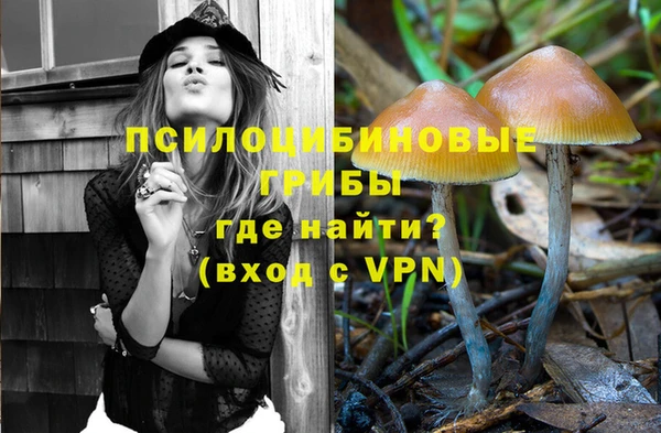 стаф Абинск